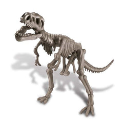 4M - Dig a Dinosaur T-Rex - Educational