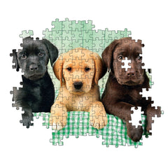 Clementoni Hochwertige Kollektion - Drei Laborwelpen 1000 Teile Puzzle