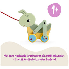 Eichhorn - Bunter Zieh-Grashüpfer - Schiebe-Zieh-Spielzeug