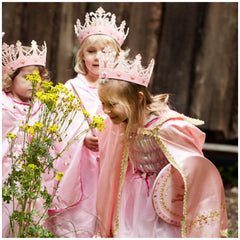 Liontouch - Queen Cape - The Queen Rosa Line - Pretend Professions & Role Playing