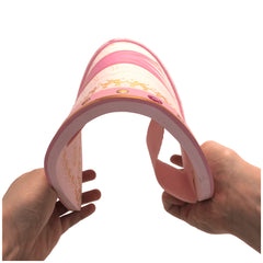 Liontouch - Queen Shield - The Queen Rosa Line - Pretend Professions & Role Playing