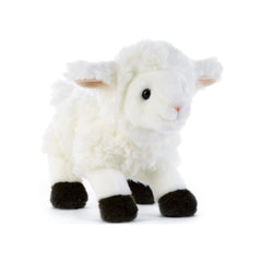 Plush & Co - Kirack das kleine Lamm Plüsch 21 cm - Stofftiere