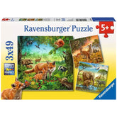 Ravensburger - Tiere der Erde - 3x49 Teile - Puzzles