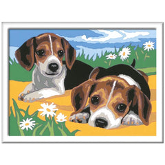 Ravensburger - Creart Beagle-Welpen - Malen nach Zahlen - Basteln und Kunst