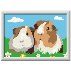 Ravensburger - Creart Guinea Pigs - Painting By Numbers - Arts & Crafts