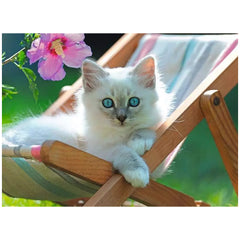 Ravensburger - White Kitten - 200 Pieces - Puzzles