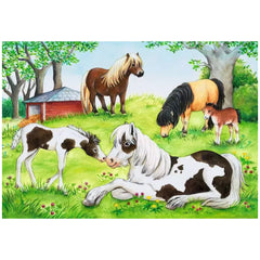 Ravensburger - World Of Horses - 2x24 Pieces - Puzzles