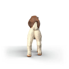 SCHLEICH - Capretto Boero - FARM WORLD - 3+ - 84414930