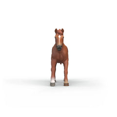 SCHLEICH - Englischer Vollblut - Hengst - Action & Spielzeugfiguren - 3+ - 84414915