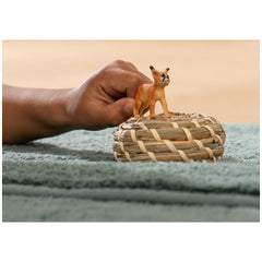 Schleich - Wild Life - Baby Caracal - Action & Toy Figures - 14868