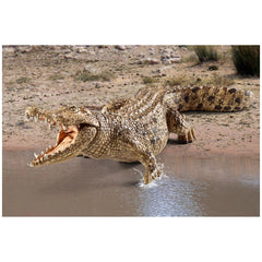 Schleich - Wild Life - Crocodile - Action & Toy Figures - 14736