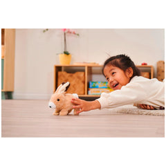 Simba - PetZoo BunBun Rabbit Plush Figure - Robotic Toys