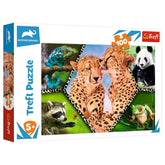 Trefl - 100 Piece Puzzle - Beautiful Nature - Puzzles Age +5 - TRF16424