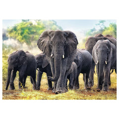 Trefl - 1000 Teile Puzzle - Puzzles - 14 - Spaß Aktivität - TRF10442
