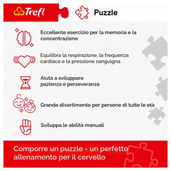 Trefl - 1000 Teile Puzzle - Puzzles - 14 - Central Park - TRF10467