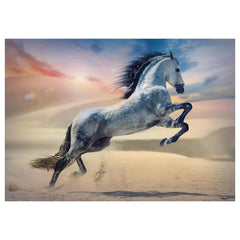 Trefl - 1000 Teile Puzzle - Puzzles - 14 - TRF10790