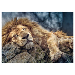 Trefl - Schlafender Löwe - Puzzles - 14+ - TRF10447