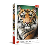 Trefl - 1500 Piece Puzzle - Portrait of a Tiger - Puzzles Age +14 - TRF26204