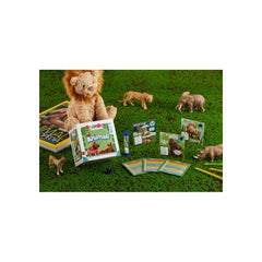 Asmodee - BrainBox - Animali - 8+ - Brettspiele - STR6801 - Italienische Edition