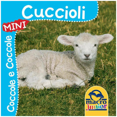 MACRO JUNIOR book packaging features a white lamb on green grass, with bold blue and yellow text "Cuccioli" and "COCCOLE E CO