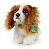 Rappa - Plüsch King Charles Spaniel - Plüschtiere - +0 - RAP - ECO - HUND - 25 - 69520304