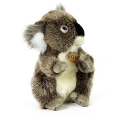 Rappa - Plüsch Koala - Stofftiere - +0M - RAP - ECO - KOALA - 22 - 69521187