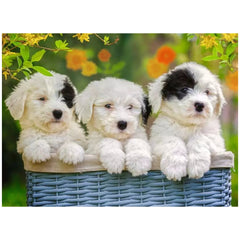 Ravensburger - Kuschelige Welpen - 200 Teile - Puzzles