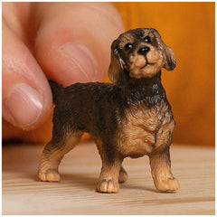 Schleich - Farm World - Drahthaariger Dachshund - Action- und Spielzeugfiguren - 13972