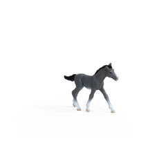 Schleich - Horse Club - Trakehner Colt - Action & Toy Figures - 13944