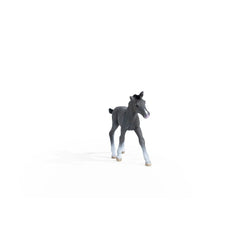 Schleich - Horse Club - Trakehner Colt - Action & Toy Figures - 13944