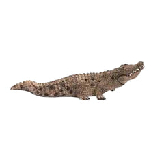 Schleich - Wild Life - Crocodile - Action & Toy Figures - 14736