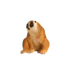 Schleich - Wild Life - Slow Loris - Action & Toy Figures - 14852