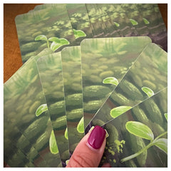 Asmodee - Forest Shuffle - Board Games - Age +10 - STR8322 - Italian Edition