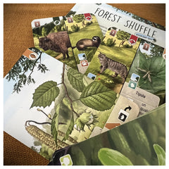 Asmodee - Forest Shuffle - Board Games - Age +10 - STR8322 - Italian Edition