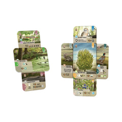 Asmodee - Forest Shuffle - Dartmoor - Brettspiele - +10 - STR8727 - Italienische Edition