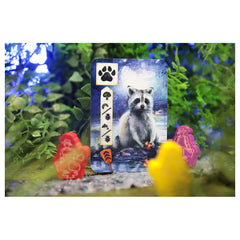 Asmodee - Meadow Downstream - Brettspiele - +10 - Abenteuer - STR8129 - Italienische Edition