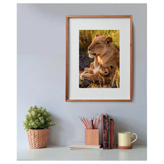 Clementoni - Feline Love Puzzle - Puzzles - Alter 12+ - 500 Teile - CLM35615