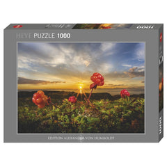 Heye - Cloudberries Puzzle - Puzzles - +14 - HEY30016