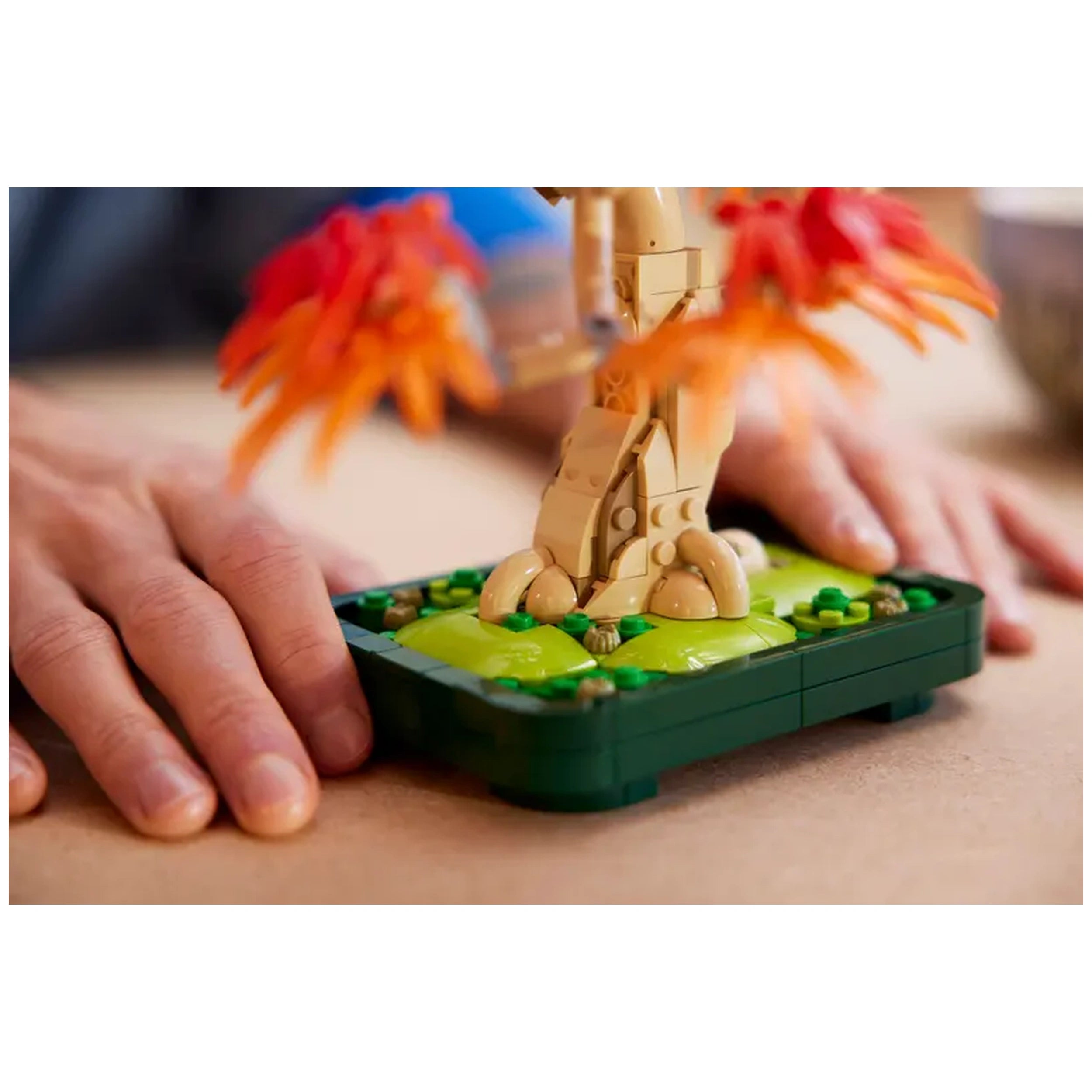 LEGO Botanicals Japanese Red Maple Bonsai Tree set features a detailed tree with red and orange leaves, set on a green base, with a hand gently placing it.
