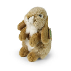 Rappa - Plush beige hare 18 cm ECO-FRIENDLY - Stuffed Animals