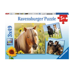 Ravensburger - Süße Ponys - 3x49 Teile - Puzzle