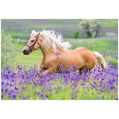 Ravensburger - Pferdeliebe - 2x24 Teile - Puzzles