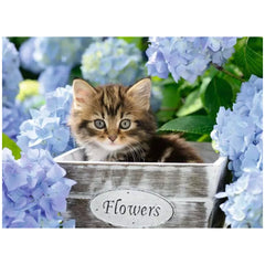 Ravensburger - Kleine Katze - 300 Teile - Puzzles