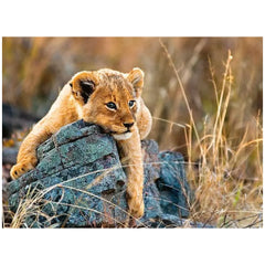 Ravensburger - Little Lion - 200 Pieces - Puzzles