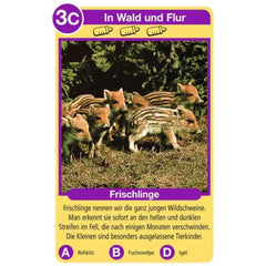 Ravensburger - Tierquartett Tierkinder - Kartenspiel