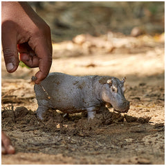 Schleich - Wild Life - Nilpferd - Action- und Spielzeugfiguren - 14814