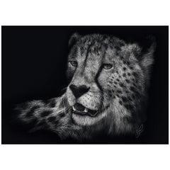 Schmidt Spiele - Speed ​​- Cheetah, im Zeichen der Anmut 1000 Teile - Puzzles