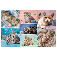 Trefl - 100 - Teile Puzzle - Puzzles - 5 - TRF16420