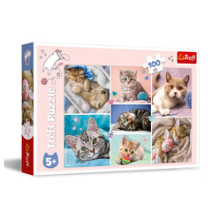 Trefl - 100 - Teile Puzzle - Puzzles - 5 - TRF16420
