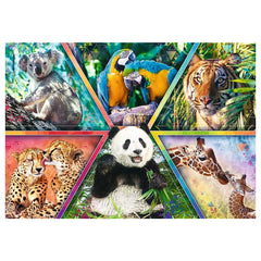 Trefl - 1000 Piece Puzzle - Animal Kingdom - Puzzles Age +14 - TRF10672